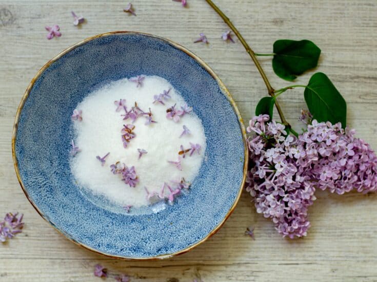 Bowl of lilacs and sugar