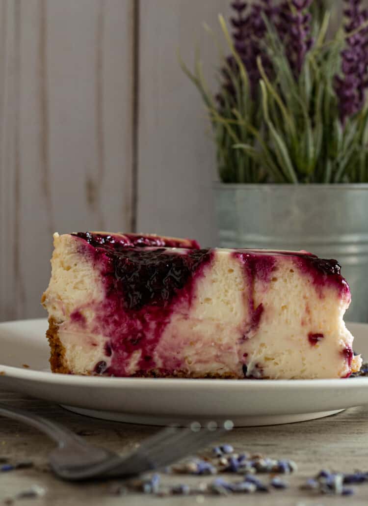 Slice of blackberry cheesecake with fork