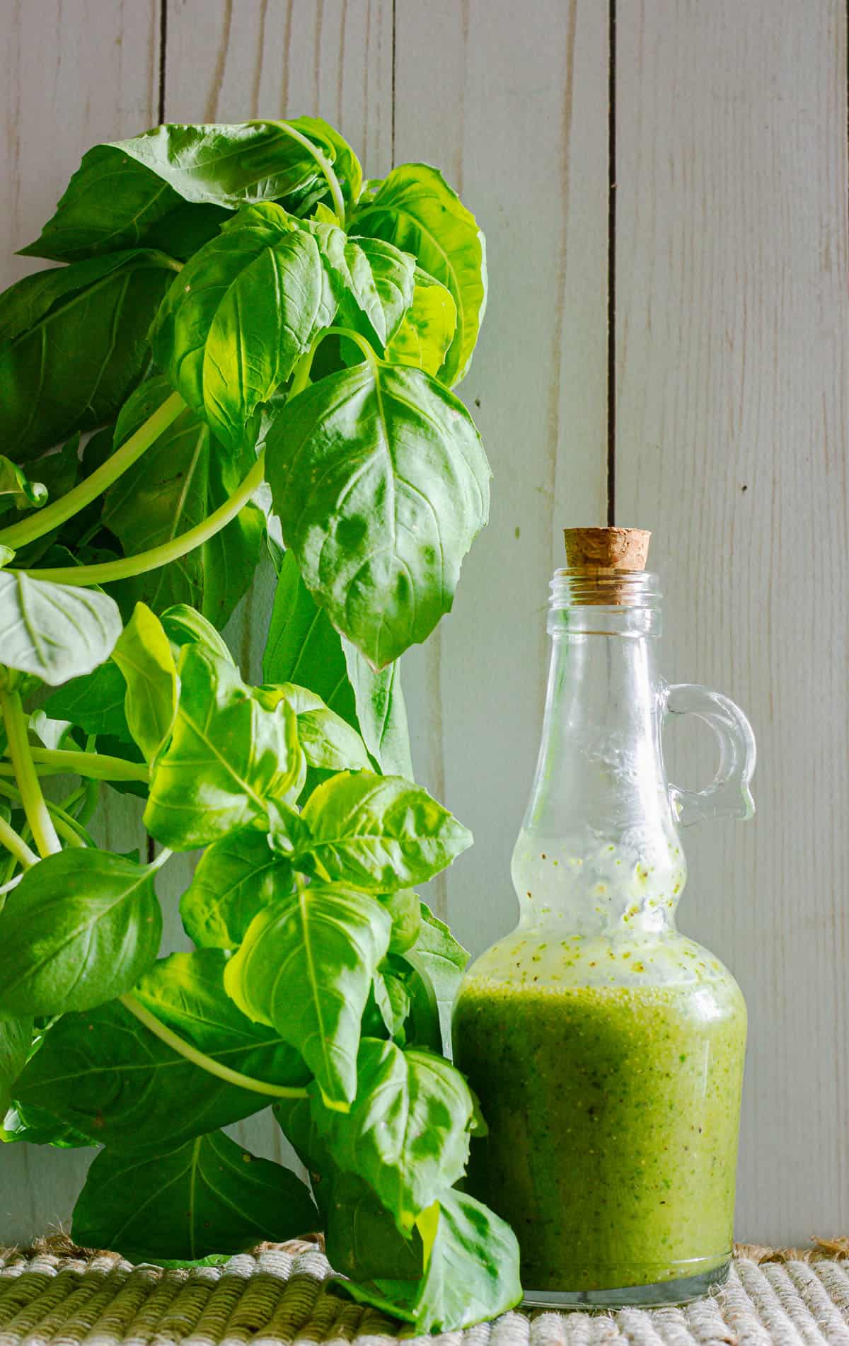 glass bottle of white balsamic and basil vinaigrette with a basil plant