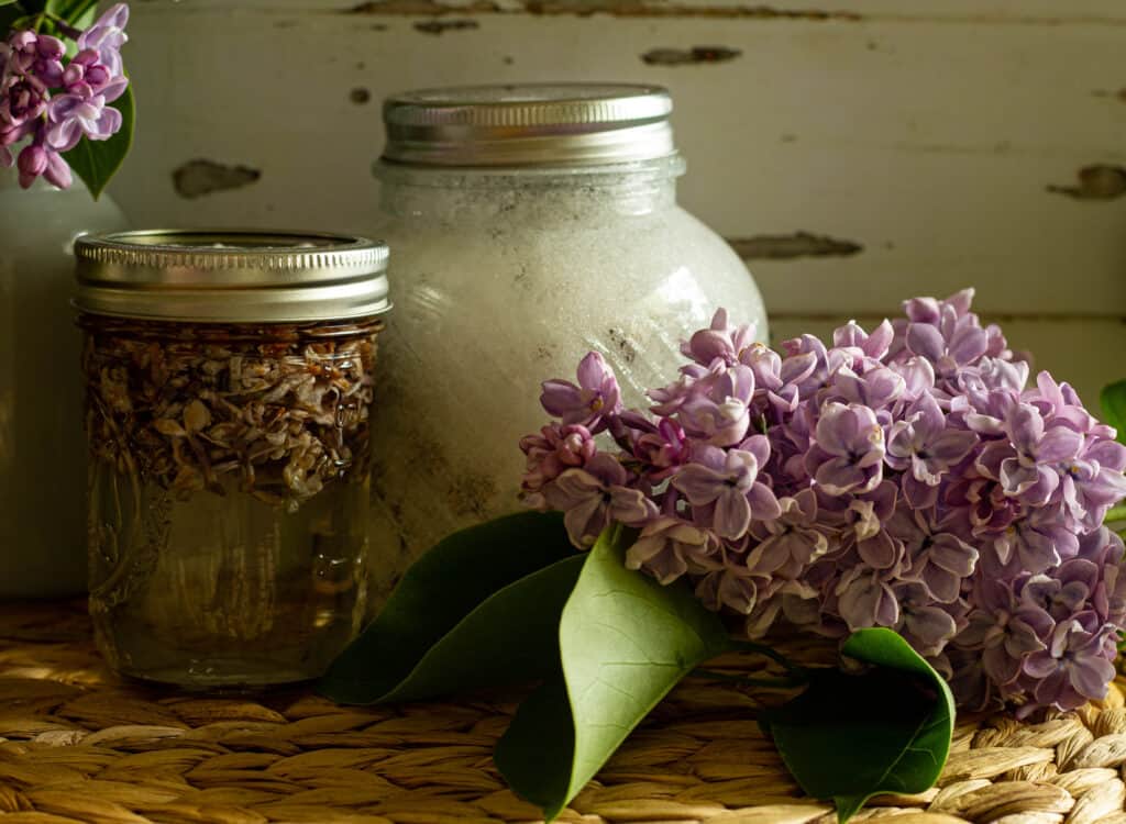 lilac syrup and lilac sugar in jars next to lilac bouquet