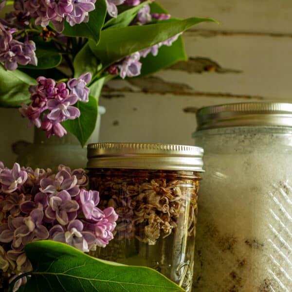 Jars of Lilac syrup and lilac sugar