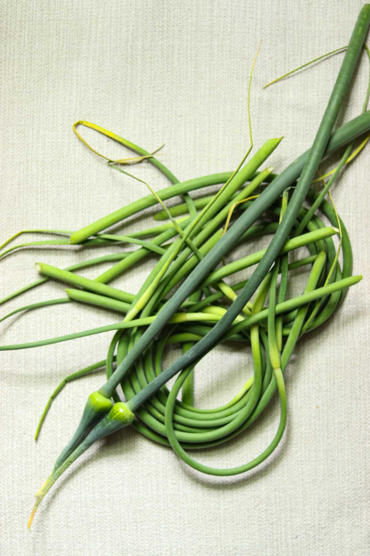 garlic scapes and leek scapes on a tan colored background