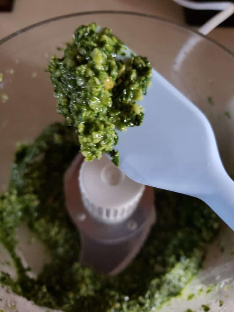 Checking the pesto to see if everything is ground up.