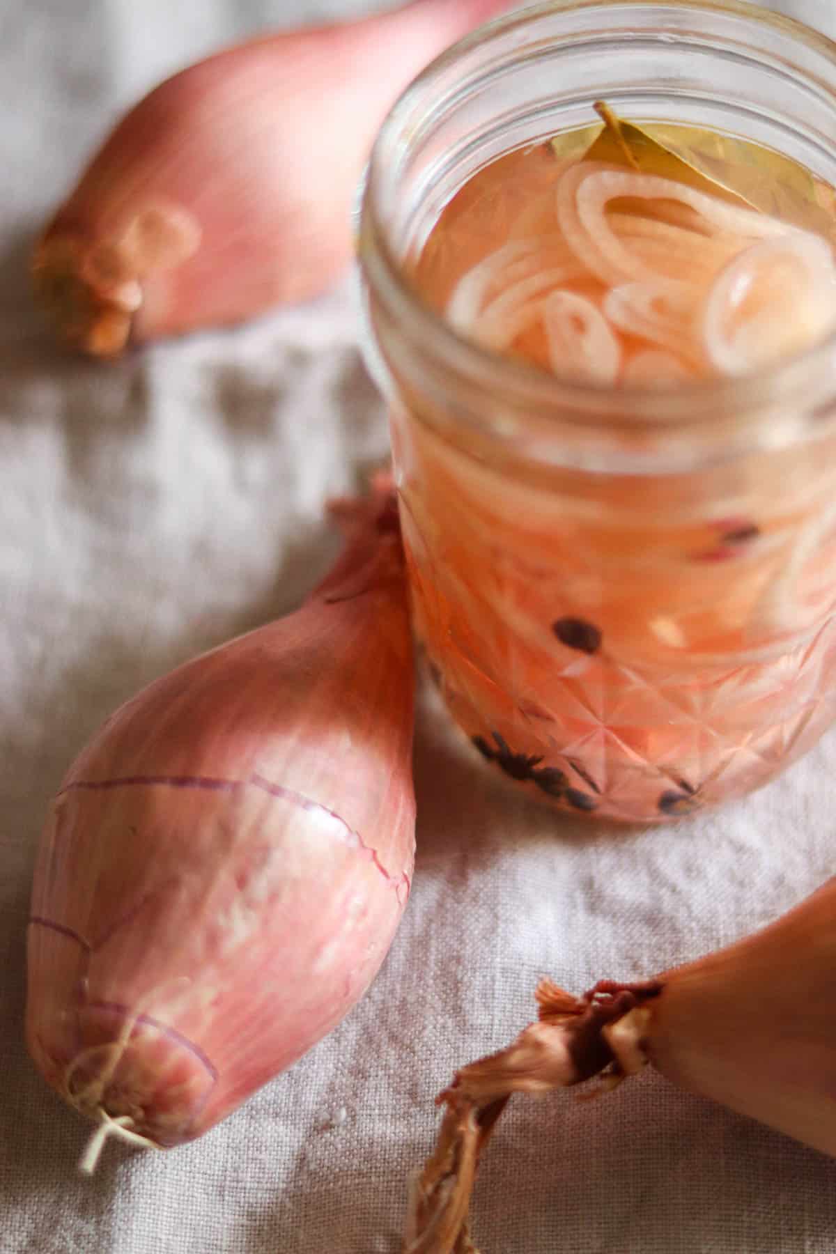 open jar of pickled shallots next to a shallot.