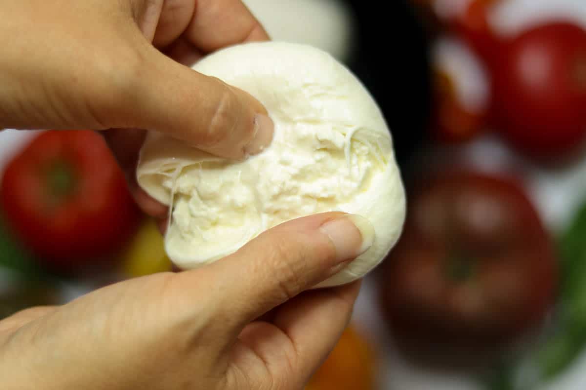 Photo of the creamy interior of a ball of burrata cheese.