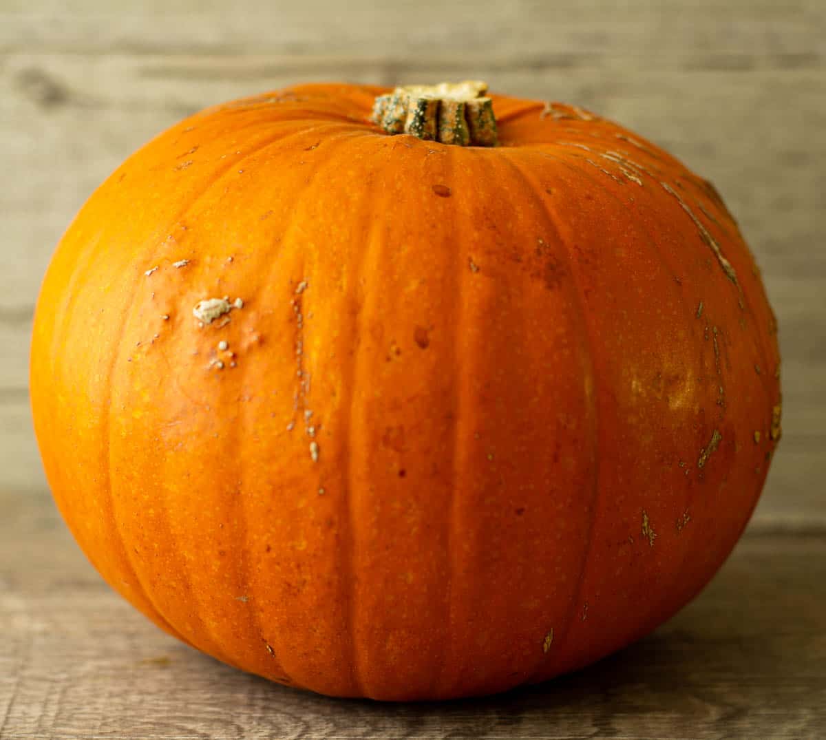 Photo of a sugar pie pumpkin.