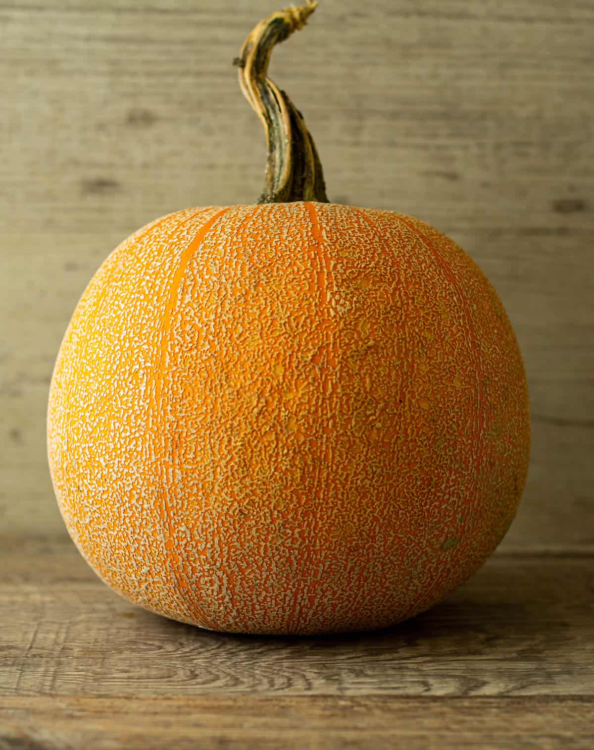 Photo of a winter luxury pumpkin.