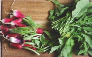 Greens cut from radishes.