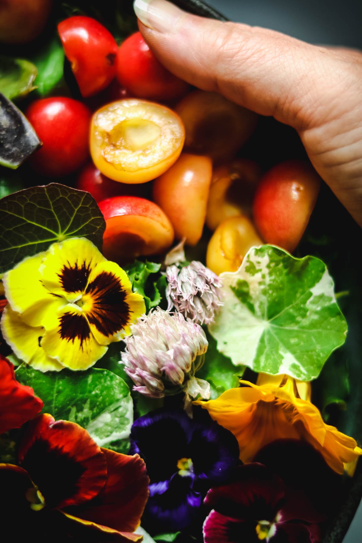 Hand holding a bowl of salad.