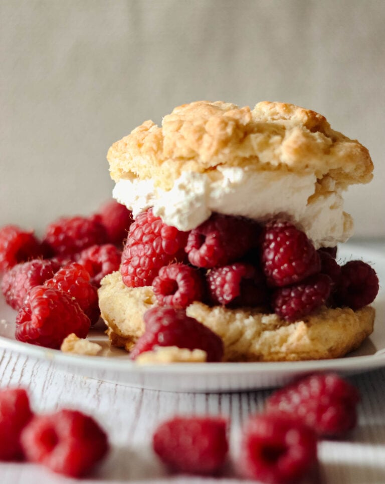 Raspberry shortcake on a white plate surrounded by fresh raspberries.