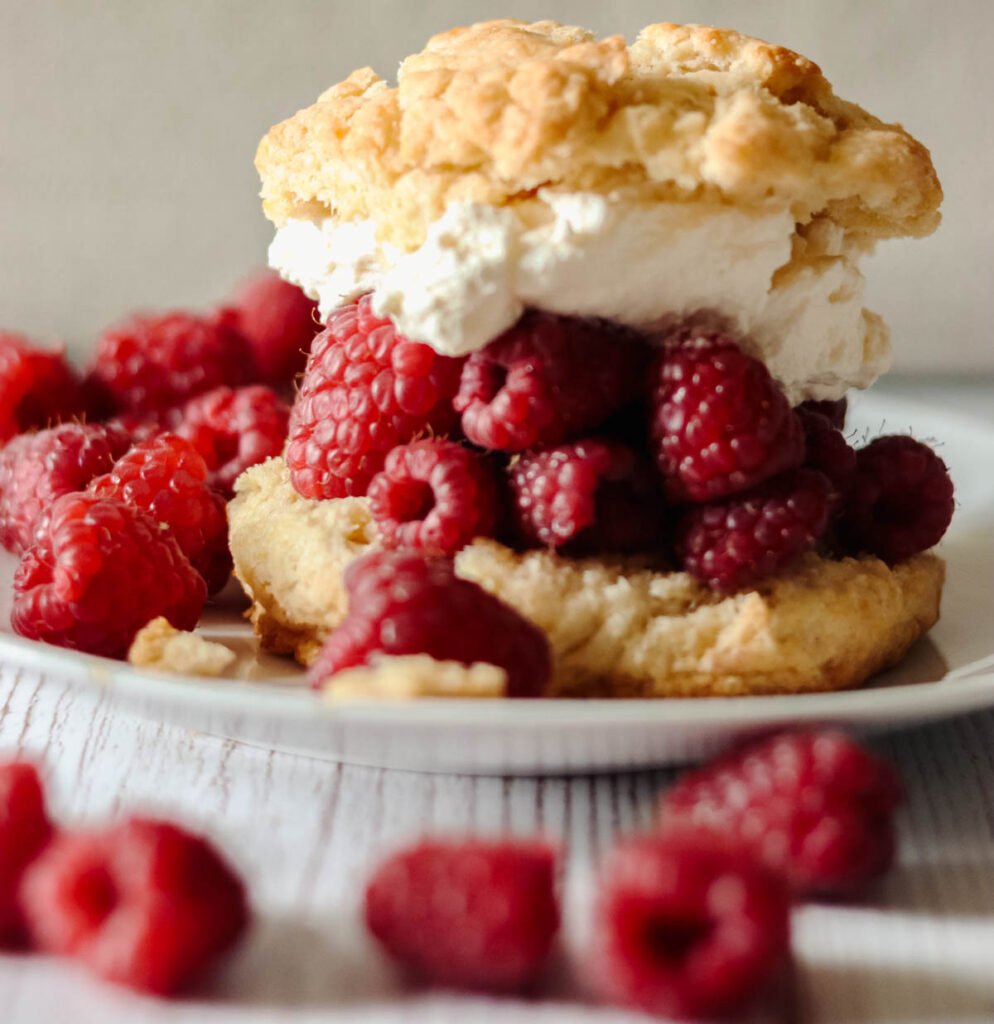 Fresh raspberry shortcake with whipped cream.