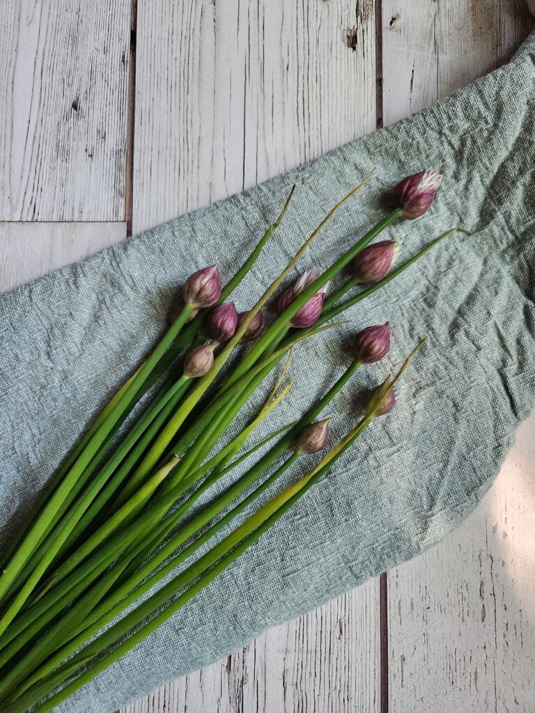 Chives with blossoms attached.