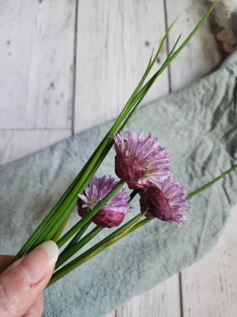 Handful of freshly cut chives.